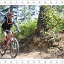 가리왕산목장 이미지