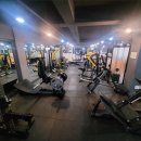 바디웰핏 이미지