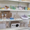 펫엔글라이더 천안점 이미지