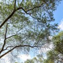 갈산공원 테니스장 이미지