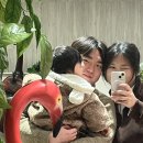 평택 몬몬이야 후기, 걸음마 아기와 가기 좋은 실내카페