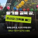 [ARTI. 6] 월계동 골목 끝, 조선의 미학을 품다