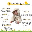 와락에듀 | 생후 7개월 육아 일기 : 아기 발달 사항, 국공립 어린이집 상담, 라라스 졸업, 중기이유식, 아기간식