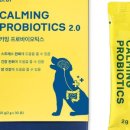 24시 위드힐동물메디컬센터 이미지