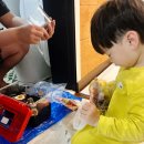 곤충하모니 | [주말방문] 정브르의 이색동물샵 "곤충하모니" 방문후기