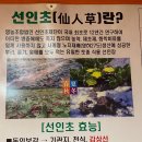 오리마당 이미지