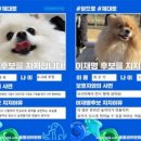 여주-0435 이미지