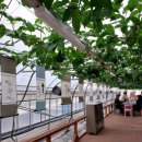 윤슬농장 이미지