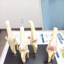 우리동물병원 이미지