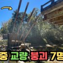 미국 미시시피주 교량 철거중 붕괴 사고 분석(ft.토목구조기술사) 이미지