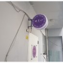 피오나네일