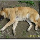 합동상회 이미지