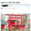 여우PC방 이미지