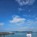 고흥 거금락 한옥펜션 | 고흥 캠핑장 거금락한옥펜션 거금도 금진항 거금대교 뷰가 좋은 곳