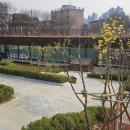 맑은내 작은도서관 이미지