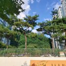 홍제1동 자치회관 | 230825 홍제동 임장 (ft. 서대문푸르지오센트럴파크, 홍은동 벽산, 강북횡단선)