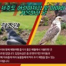 농업회사법인주식회사그린비즈
