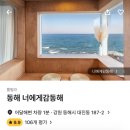 동해시청소년수련관 | 동해 여행(너에게 감동해, 현상소, 무코어구미, 동해가리비)- 2024.08.22