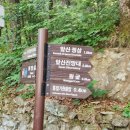대구 앞산 등산,정상, 토끼 전망대 코스 등반 후기