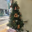 소솜(SOSOM) 이미지