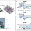 [Scientific Publications] 전구약물(Prodrug)의 정량적 PK 및 흡수·대사 스크리닝 완벽 구현...