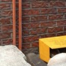 아지랑양이 이미지