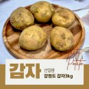 선일유통 | 강원도 감자 맛있는 햇감자 산지직송 택배 선일팜