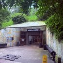 빛의 벙커 (제주 성산 AMIEX 전시관) | 제주 빛의 벙커ㅣ제주 동쪽 코스 실내 관람 ㅣ 빛의 벙커 할인예매