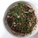 강릉수정막국수 이미지