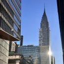 상안농장 | [엄마랑 뉴욕 10박11일] 써밋원전망대 장단점 필수준비물/ 그랜드센트럴 카페추천/ summit one...