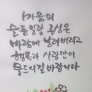 별이랑식물사랑 Daum카페