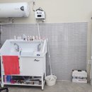 체리쉬퍼피 이미지