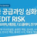 중국 공급과잉 심화와 CREDIT RISK [NICE신용평가 2024년 하반기 e-SEMINAR] 이미지