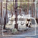 camping#3 청도 수리덤캠핑장 노스피크 A7ex 생일캠 후기(P6 사이트)