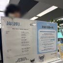 금별유치원 | [서울/마포] 멍타쿠ㅣ연남동 애견카페 솔직후기 / 유기견 입양상담까지 받을 수 있는 곳 홍대놀거리...