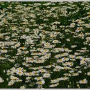 하늘아래첫집 이미지