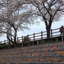 동천 수변공원 이미지