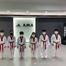 AMA 태권도장 이미지