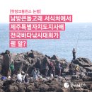 [핫핑크돌핀스 논평] 남방큰돌고래 서식처에서 제주특별자치도지사배 전국바다낚시대회가 웬 말? 이미지