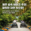 숲속반딧불펜션 | 제주 반딧불 숲속 바이크 후기 | 아이와 함께 가기 좋은 제주 바이크 체험