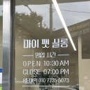 마이 펫 살롱 | 대구 칠곡 애견미용 맛집 - 마이펫살롱, 신규 오픈집 가격 및 후기