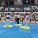 용인대 성원 태권도 이미지