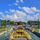 청산파크 이미지