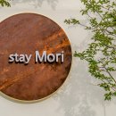 스테이모리 이미지