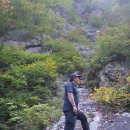 경원 Daum카페
