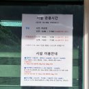 하동 가볼만한 곳 구재봉자연휴양림 트리하우스 이팝나무 모노레일 체험 후기