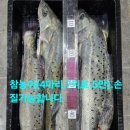 임여사수산