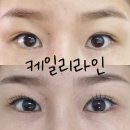 세븐일레븐 천안성정롯데점 | 천안 속눈썹펌 잘하는 곳 성정동 케일리라인 영양 듬뿍 유지력 최고