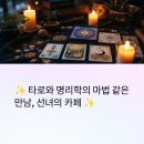명리학과 타로의 만남 이미지