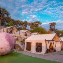 서산글램핑 이미지